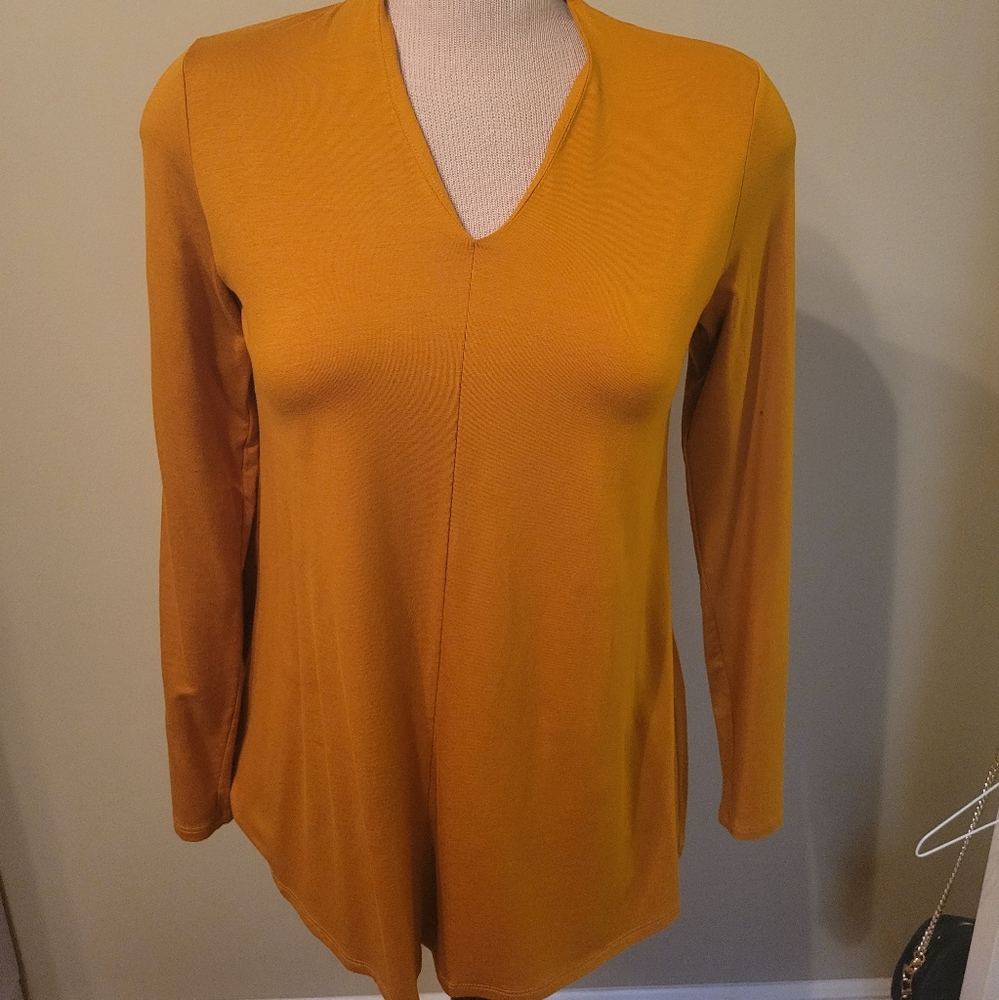 Eileen Fisher long sleeve vneck